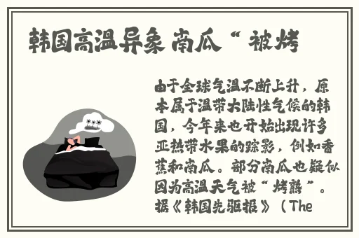 99re久久这里只有精品第一时间